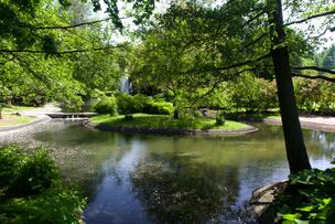 A beautiful green view of Alppipuisto Park and its pond.