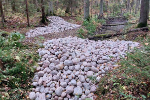 Patoja Haltialanmetsässä.