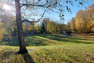 View to Oravapuisto park.