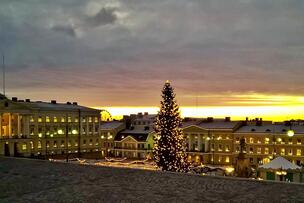 The Christmas tree to be added to Senate Square will have a central place next to the Cathedral.