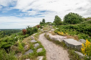 A sand trail on top of Vuosaari Hill.
