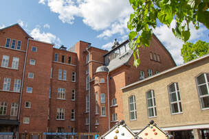 Snellmanin ala-aste